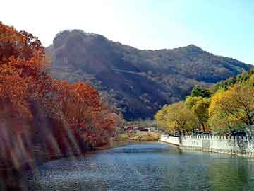 新澳天天开奖资料大全旅游团，穿越之我的野蛮皇后